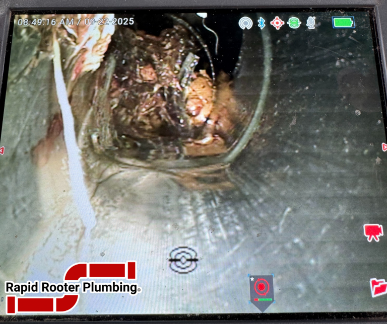 Root Ball 9.24.25
